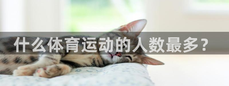 制胜体育app下载入口：什么体育运动的人数最多？