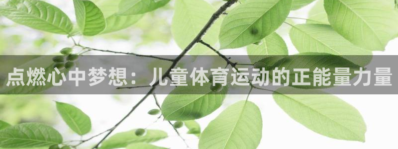 制胜体育官网：点燃心中梦想：儿童体育运动的正能量力量