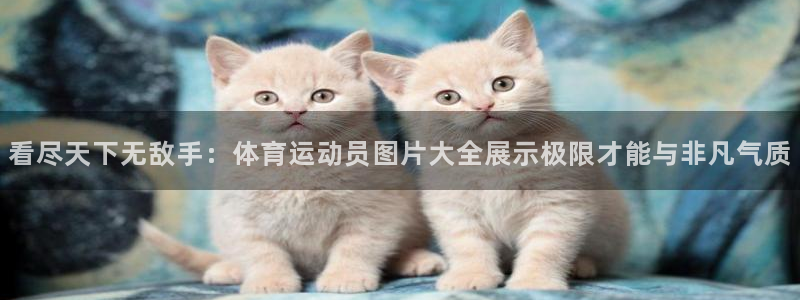 制胜体育下载官网app：看尽天下无敌手：体育运动员图片大全展示极限才能与非凡气质