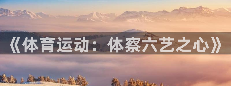 制胜体育软件