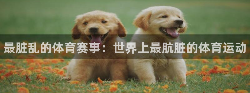制胜体育