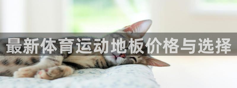 制胜体育下载官：最新体育运动地板价格与选择