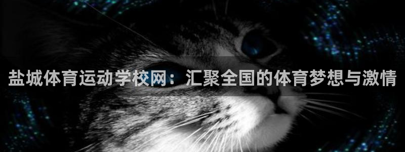 制胜体育平台app下载：盐城体育运动学校网：汇聚全国的体育梦想与激情
