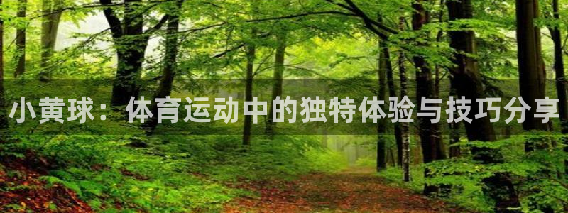 制胜体育最新版本