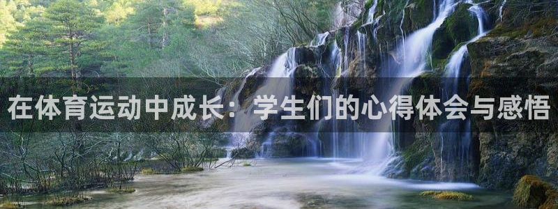 制胜体育网页版