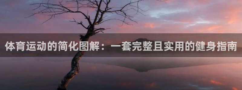 制胜体育NBA免费版下载：体育运动的简化图解：一套完整且实用的健身指南
